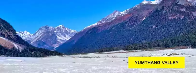 yumthang valley tour package from lachung