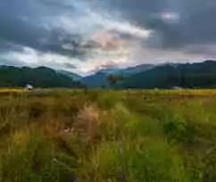 ziro valley tour, arunachal pradesh with NatureWings