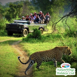 Chitwan Tour Package